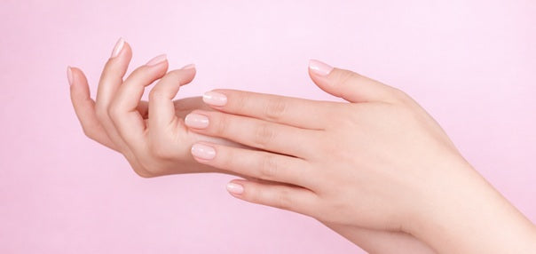 De anatomie van de nagels