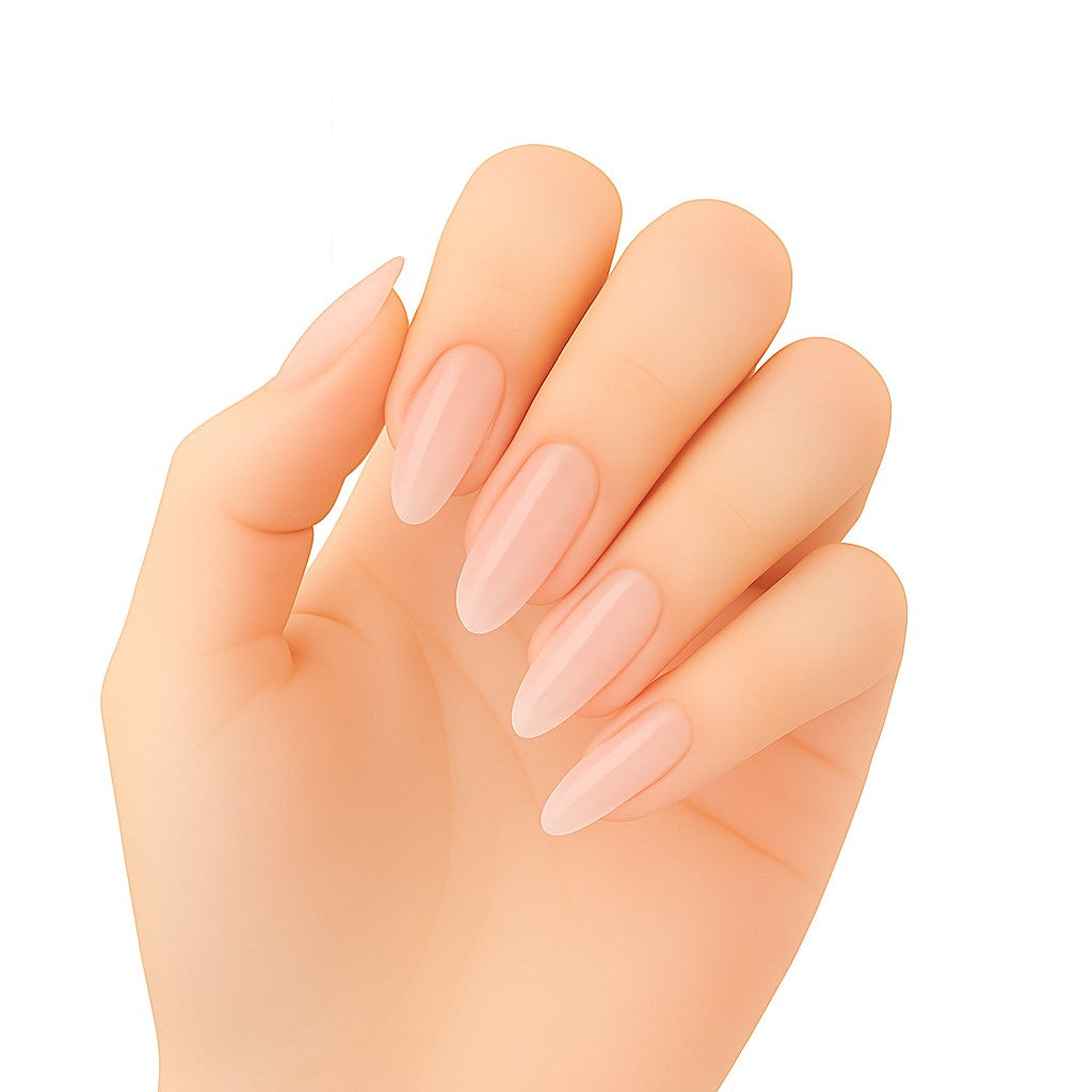 Canni - Biab - 1 stuks