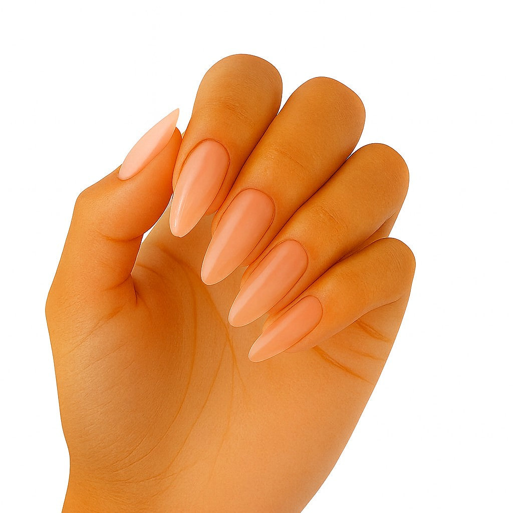 Canni - Biab - 1 stuks