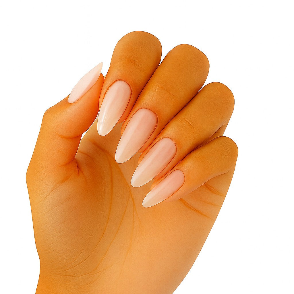 Canni - Biab - 1 stuks