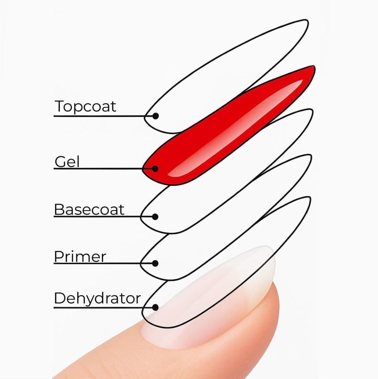 Canni - Basecoat - 1 stuks - 10 ml
